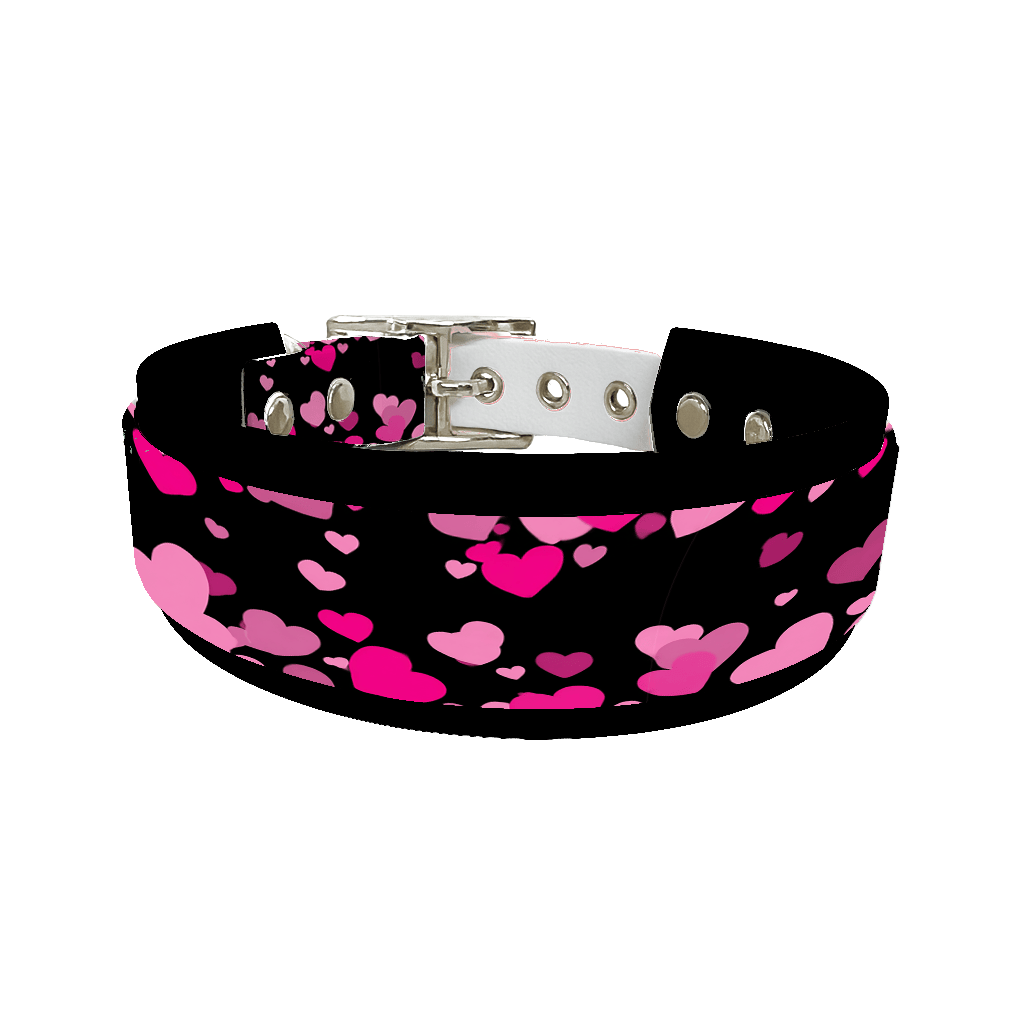 L'atelier du Fourmilier collier double 380 Colliers doubles pour chien – Collection Saint-Valentin (25 mm / 38 mm)