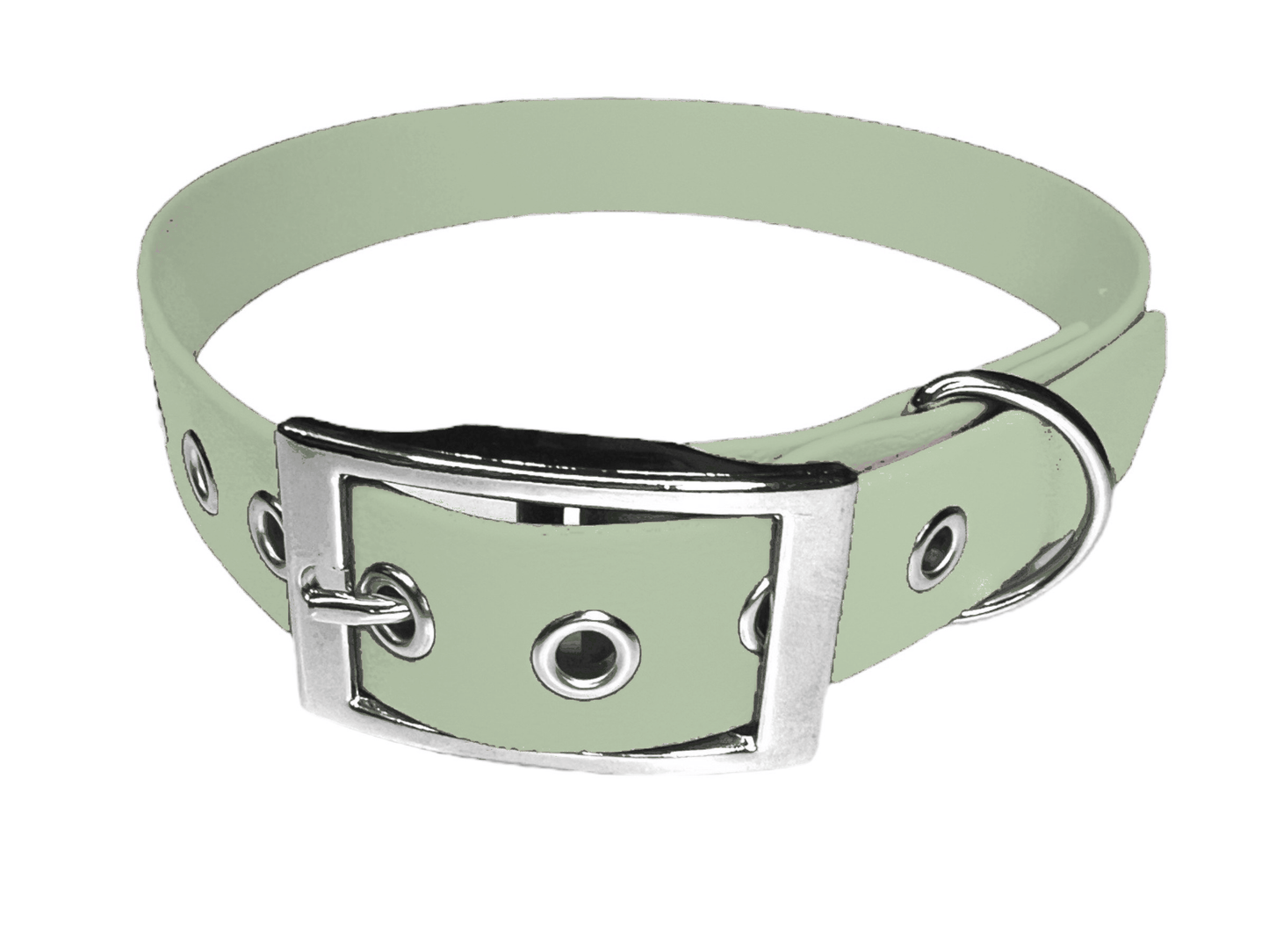 L'atelier du Fourmilier Collier pour chien personnalisable Collier chien 19 mm en Biothane – Personnalisable – Coloris au choix
