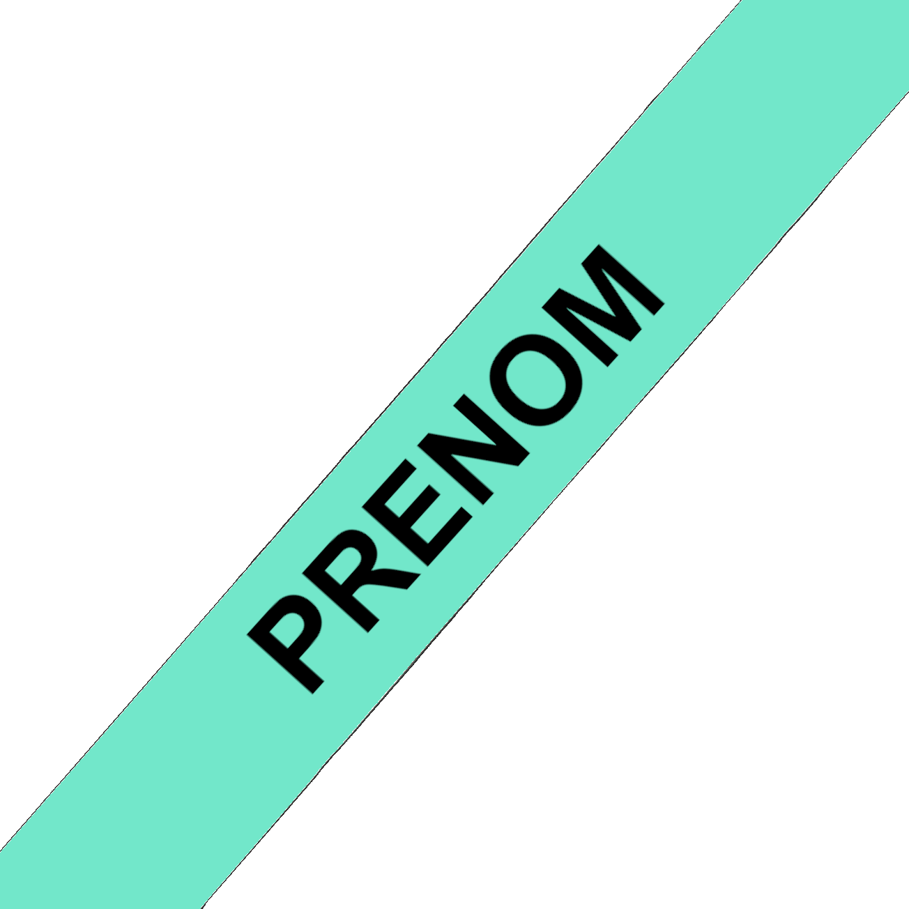 L'atelier du Fourmilier Collier pour chien personnalisable Collier chien 19 mm en Biothane – Personnalisable – Coloris au choix