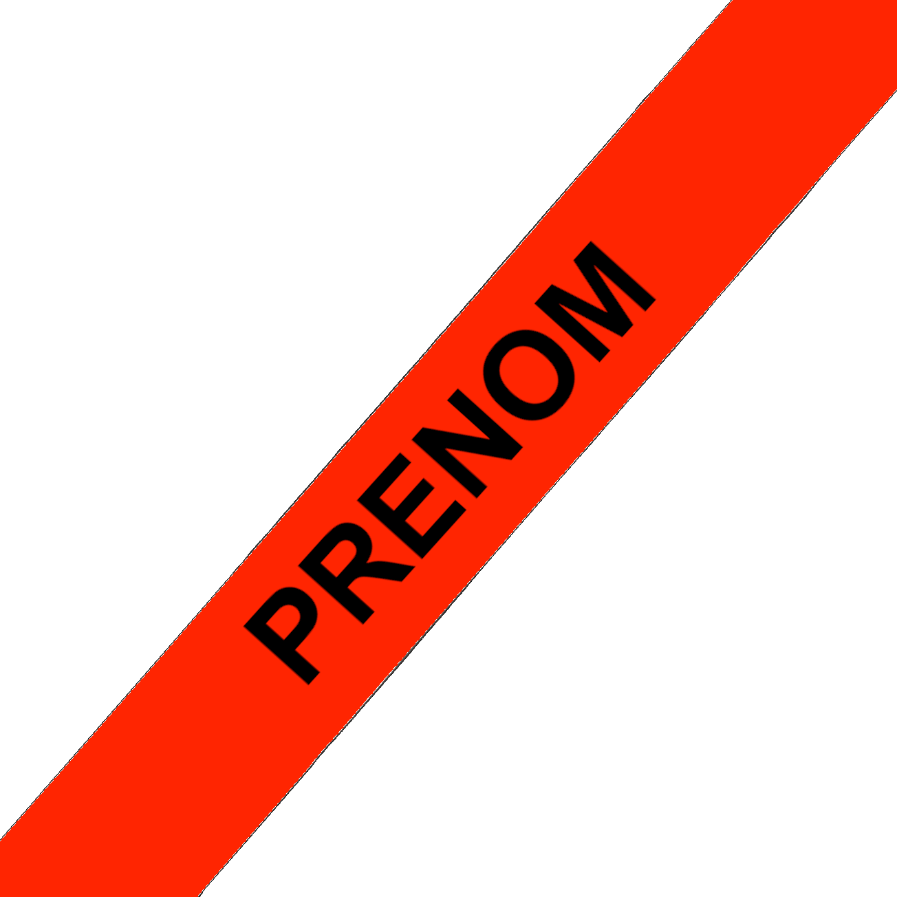 L'atelier du Fourmilier Collier pour chien personnalisable Collier chien 19 mm en Biothane – Personnalisable – Coloris au choix