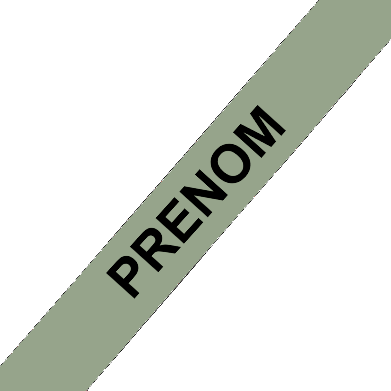 L'atelier du Fourmilier Collier pour chien personnalisable Collier chien 19 mm en Biothane – Personnalisable – Coloris au choix