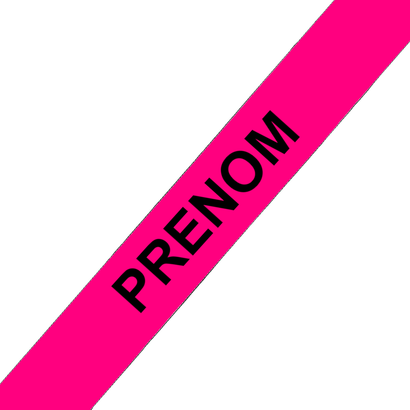 L'atelier du Fourmilier Collier pour chien personnalisable Collier chien 19 mm en Biothane – Personnalisable – Coloris au choix