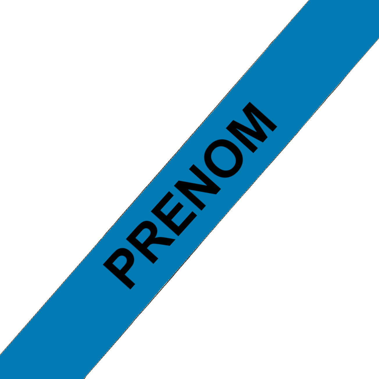 L'atelier du Fourmilier Collier pour chien personnalisable Collier chien 19 mm en Biothane – Personnalisable – Coloris au choix