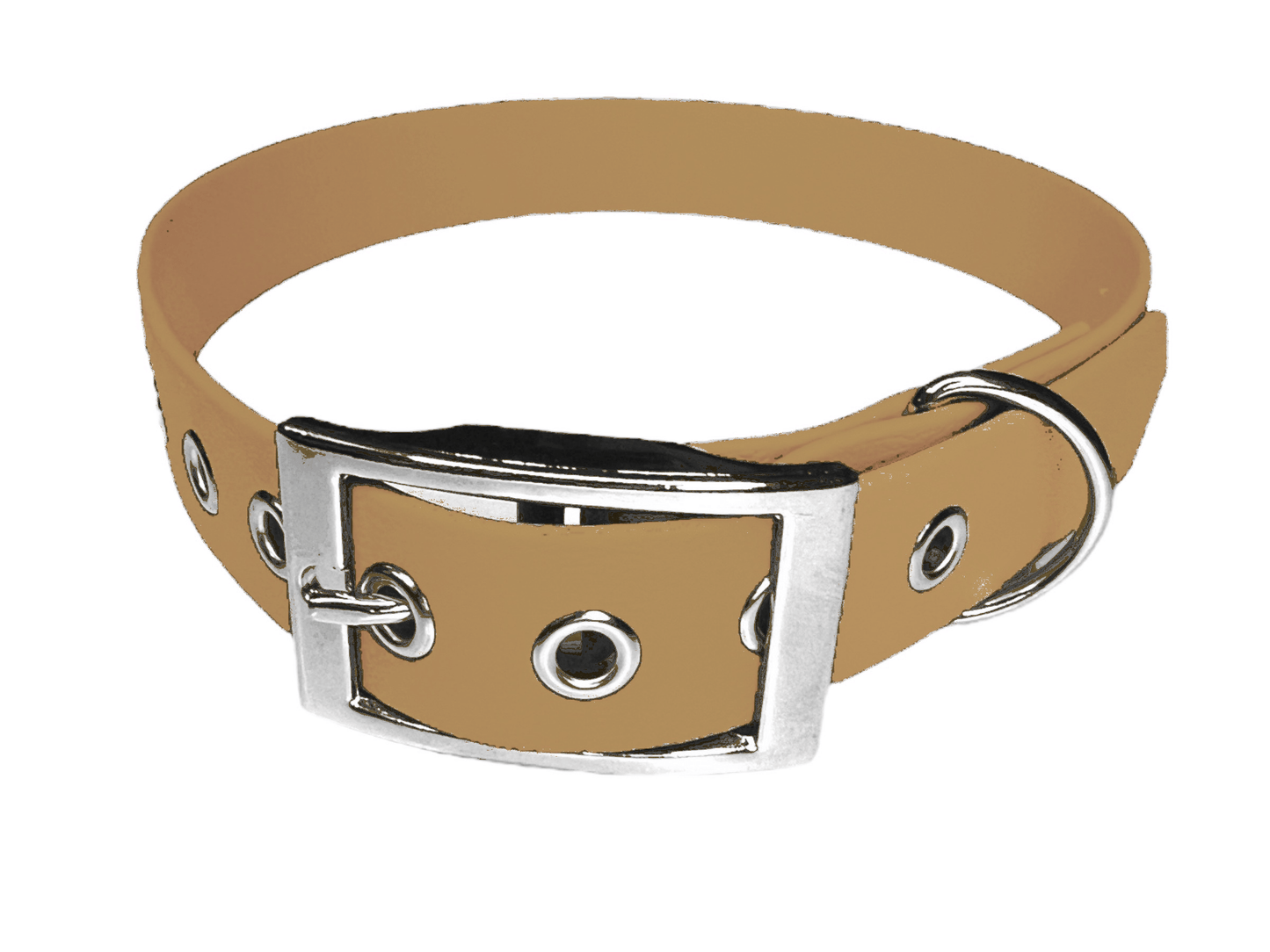 L'atelier du Fourmilier Collier pour chien personnalisable XXS / Doré Collier chien 19 mm en Biothane – Personnalisable – Coloris au choix