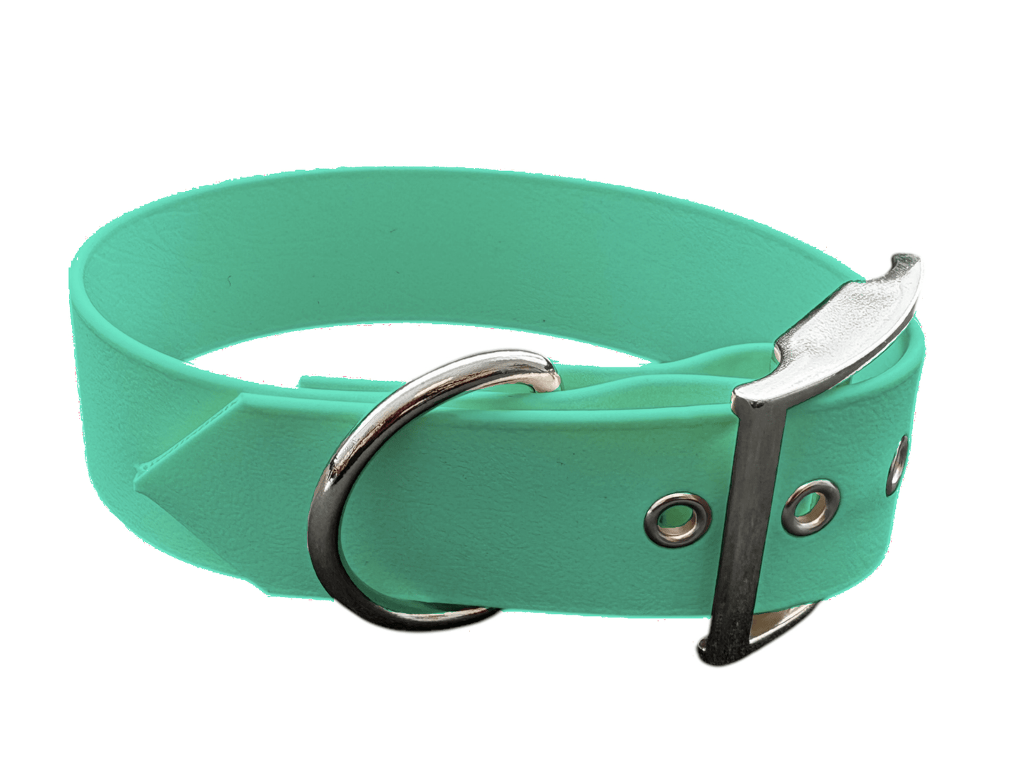L'atelier du Fourmilier Collier pour chien personnalisable XXS / Vert Caribéen Collier chien 38 mm en Biothane – Personnalisable – Coloris au choix