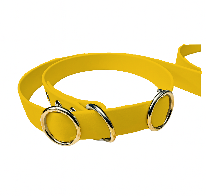 Laisse martingale en BioThane – Largeurs 19 mm ou 25 mm
