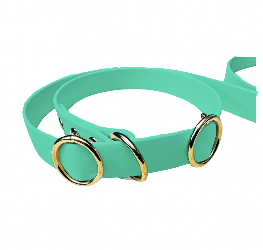 L'atelier du Fourmilier Laisse martingale Laisse martingale en BioThane – Largeurs 19 mm ou 25 mm