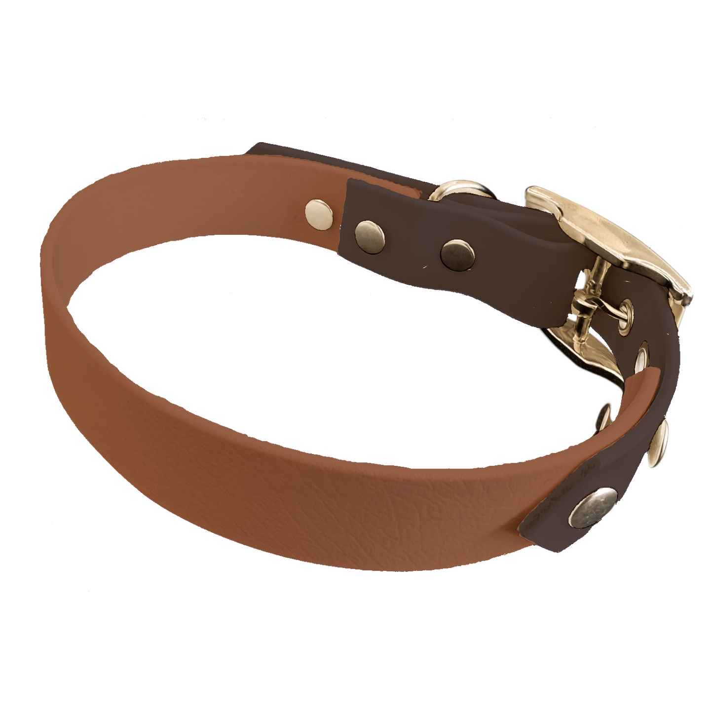 Collier Bicolore en BioThane® 19 mm – coloris personnalisable