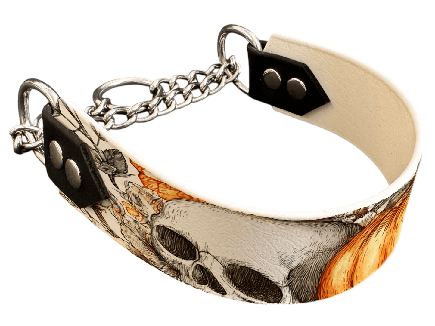 L'atelier du Fourmilier Martingales 282 Martingale pour chien en BioThane® imprimé – Collection Halloween– 38mm