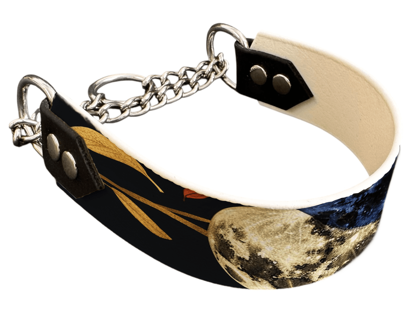 L'atelier du Fourmilier Martingales 297 Martingale pour chien en BioThane® imprimé – Collection galaxie – 38mm