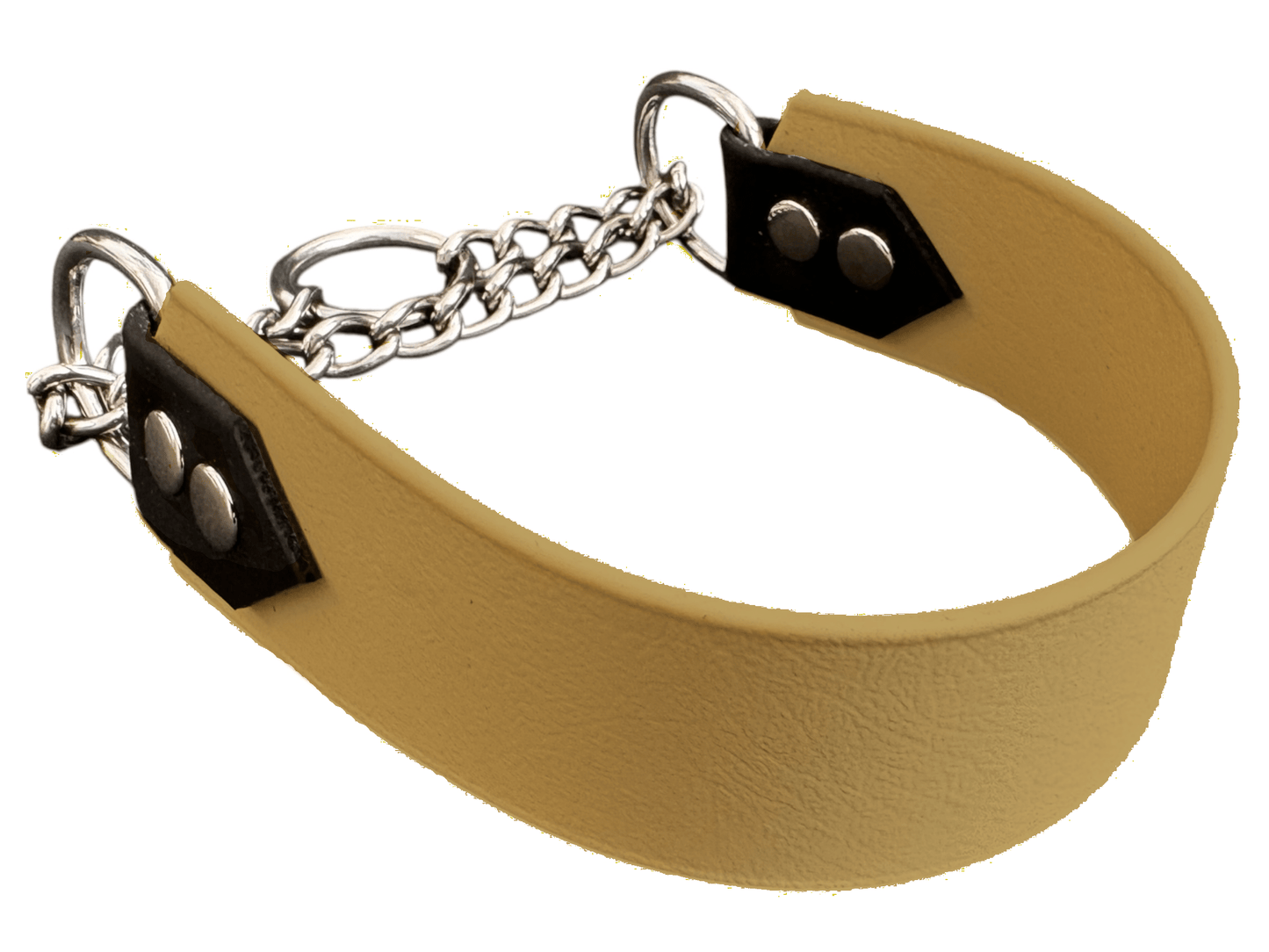 L'atelier du Fourmilier martingales personnalisable Doré Martingale 38 mm en Biothane – Personnalisable – Coloris au choix