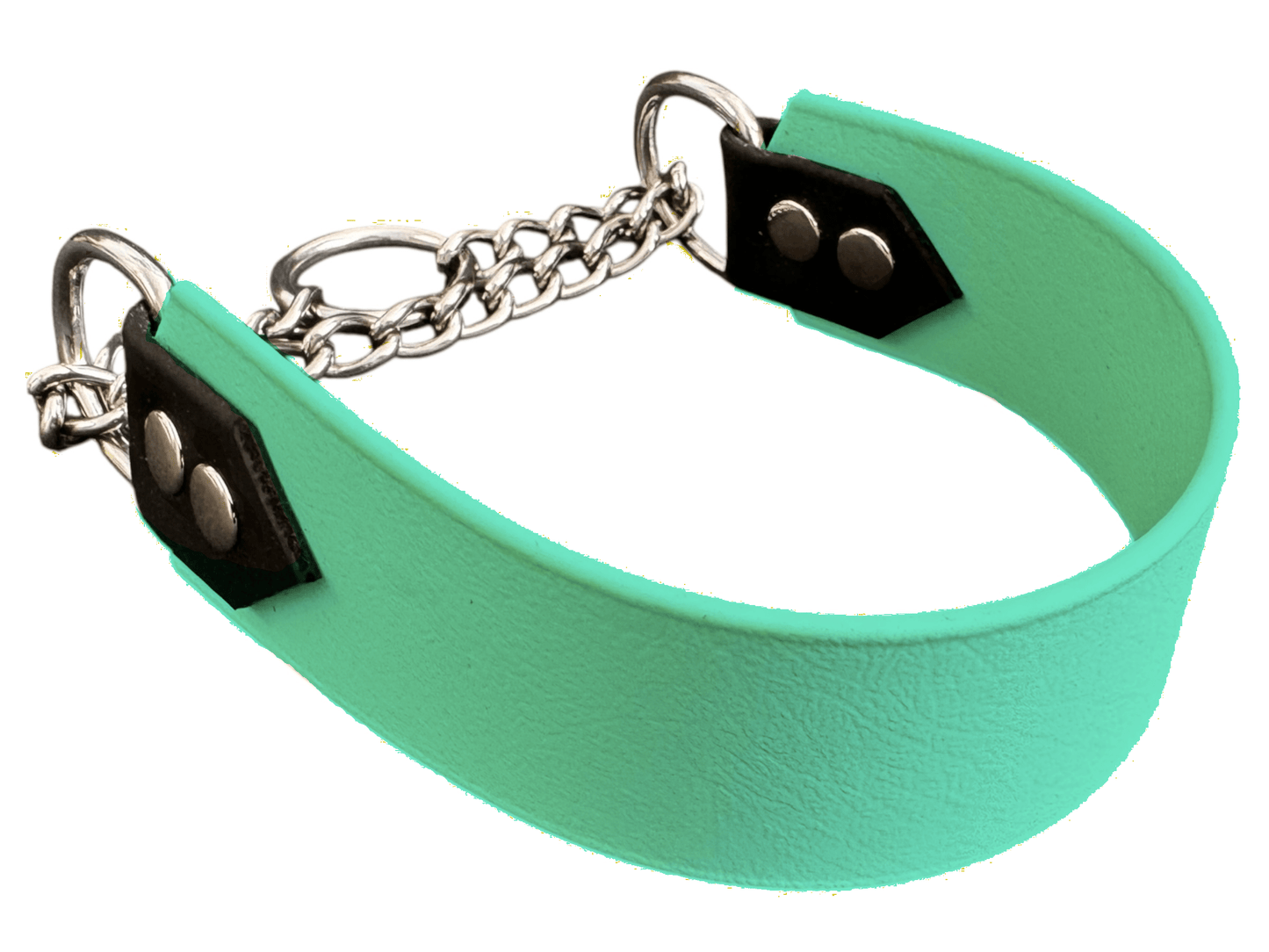 L'atelier du Fourmilier martingales personnalisable Vert Caribéen Martingale 38 mm en Biothane – Personnalisable – Coloris au choix