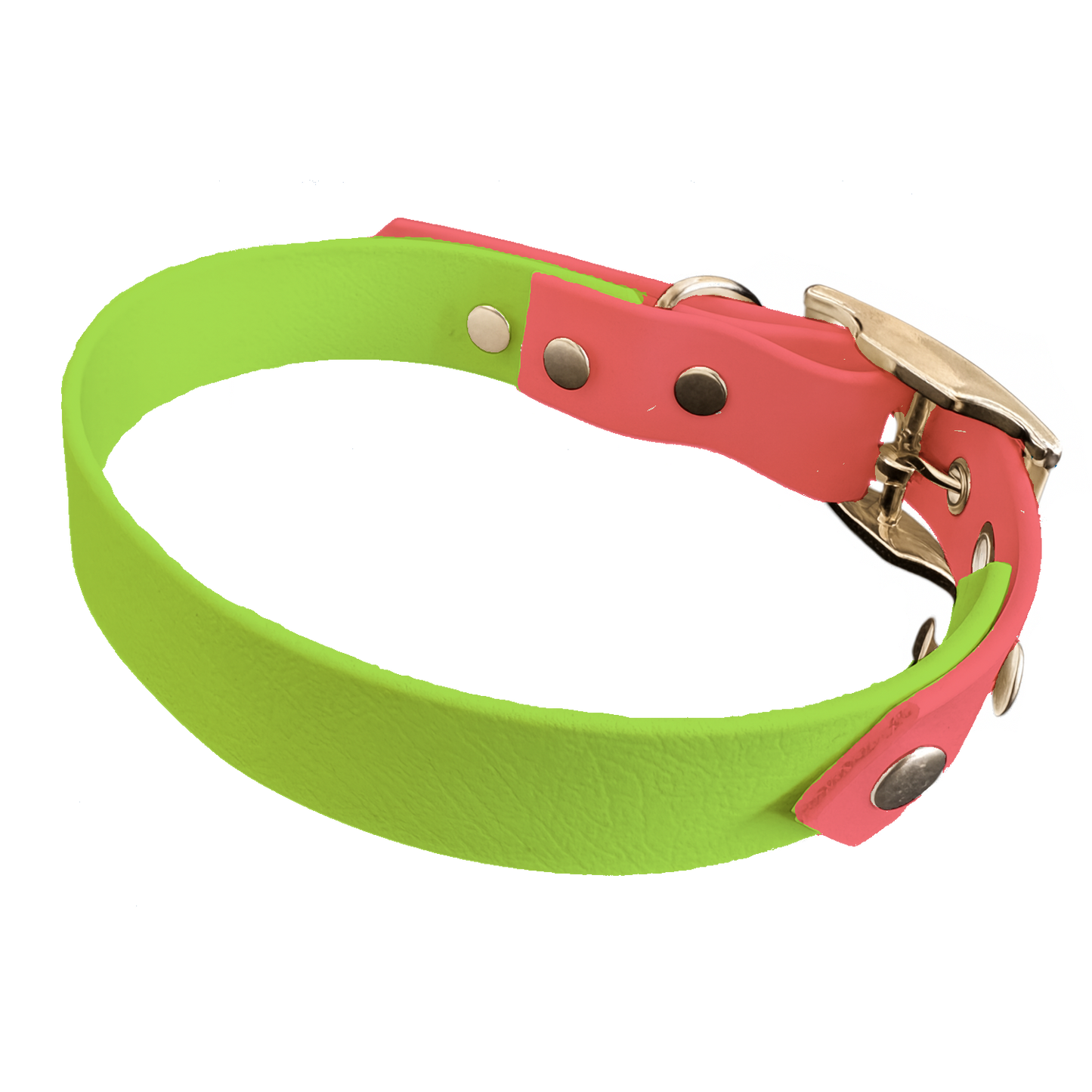 Collier Bicolore en BioThane® 19 mm – coloris personnalisable