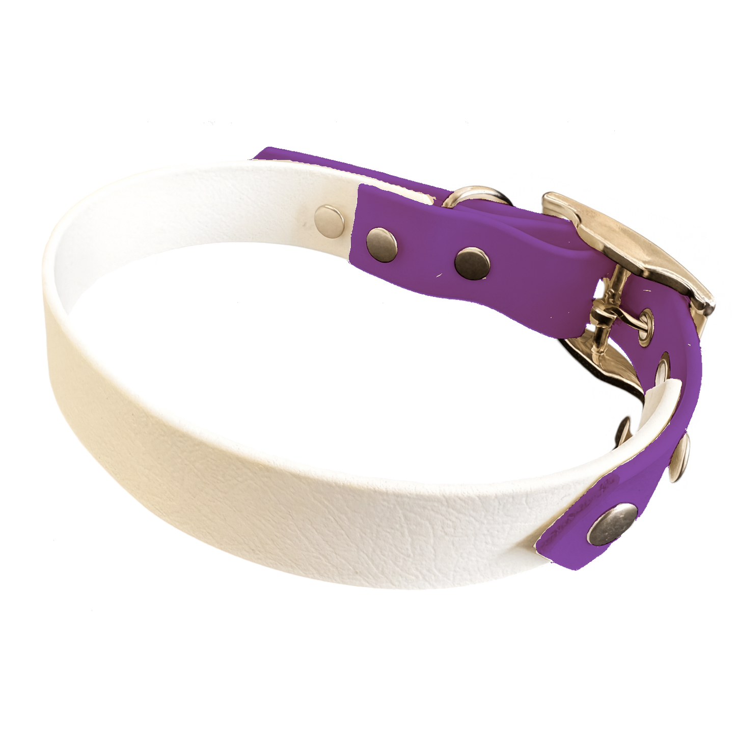 Collier Bicolore en BioThane® 19 mm – coloris personnalisable