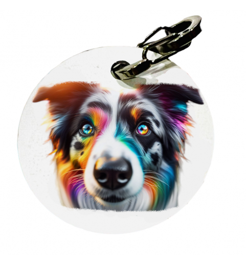 Médaille Colorfull Border collie merle