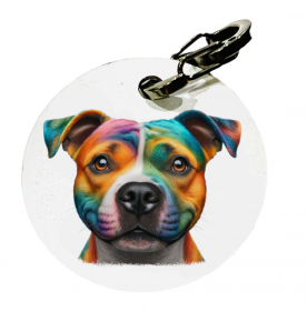Médaille Colorfull Staffie