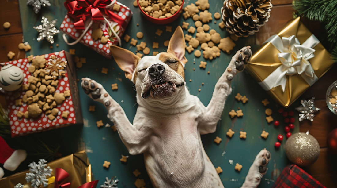 Les bonnes résolutions de mon chien (spoiler : il ne les tiendra pas)