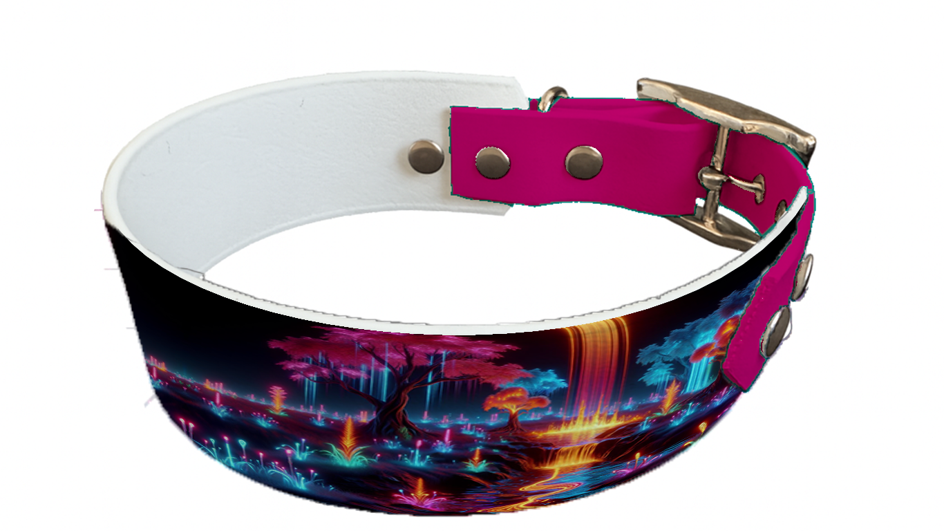 Collier bicolore large pour chien en BioThane® imprimé – Collection paysage– 38/25 mm