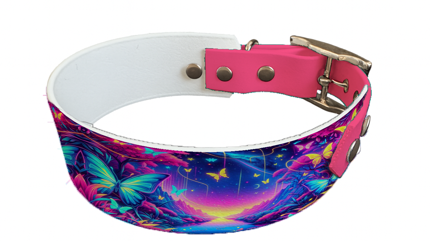 Collier bicolore large pour chien en BioThane® imprimé – Collection insectes– 38/25 mm