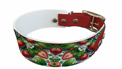Collier bicolore large pour chien en BioThane® imprimé – Collection gourmandise – 38/25 mm