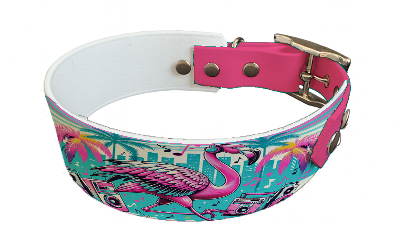 Collier bicolore large pour chien en BioThane® imprimé – Collection pop art– 38/25 mm
