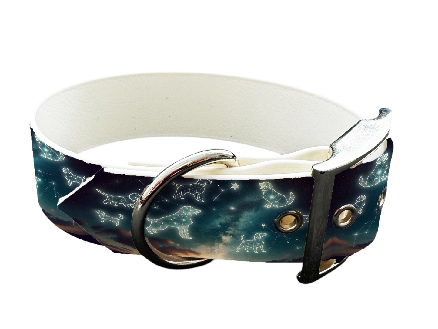 Collier large pour chien en BioThane® imprimé – Collection galaxie – 25mm