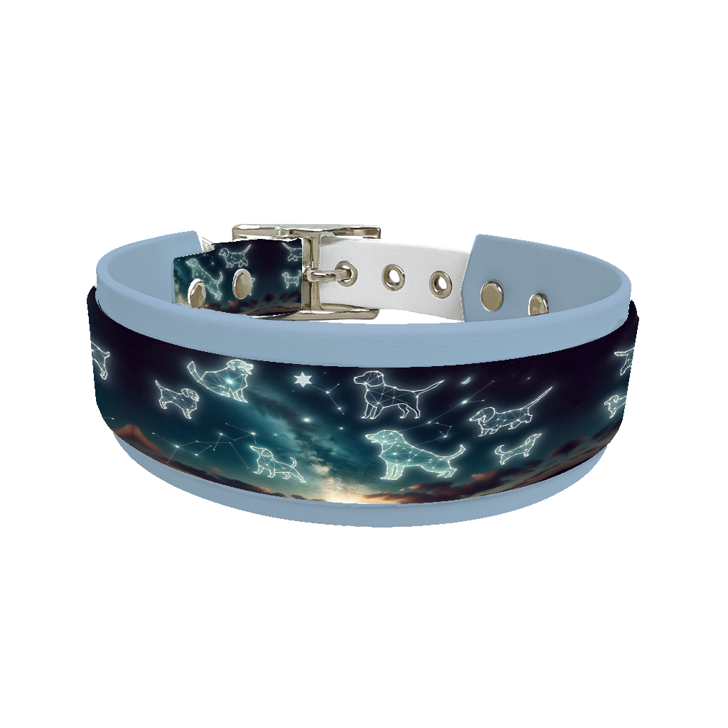 Collier double large pour chien en BioThane® imprimé – Collection galaxie – 38/25 mm