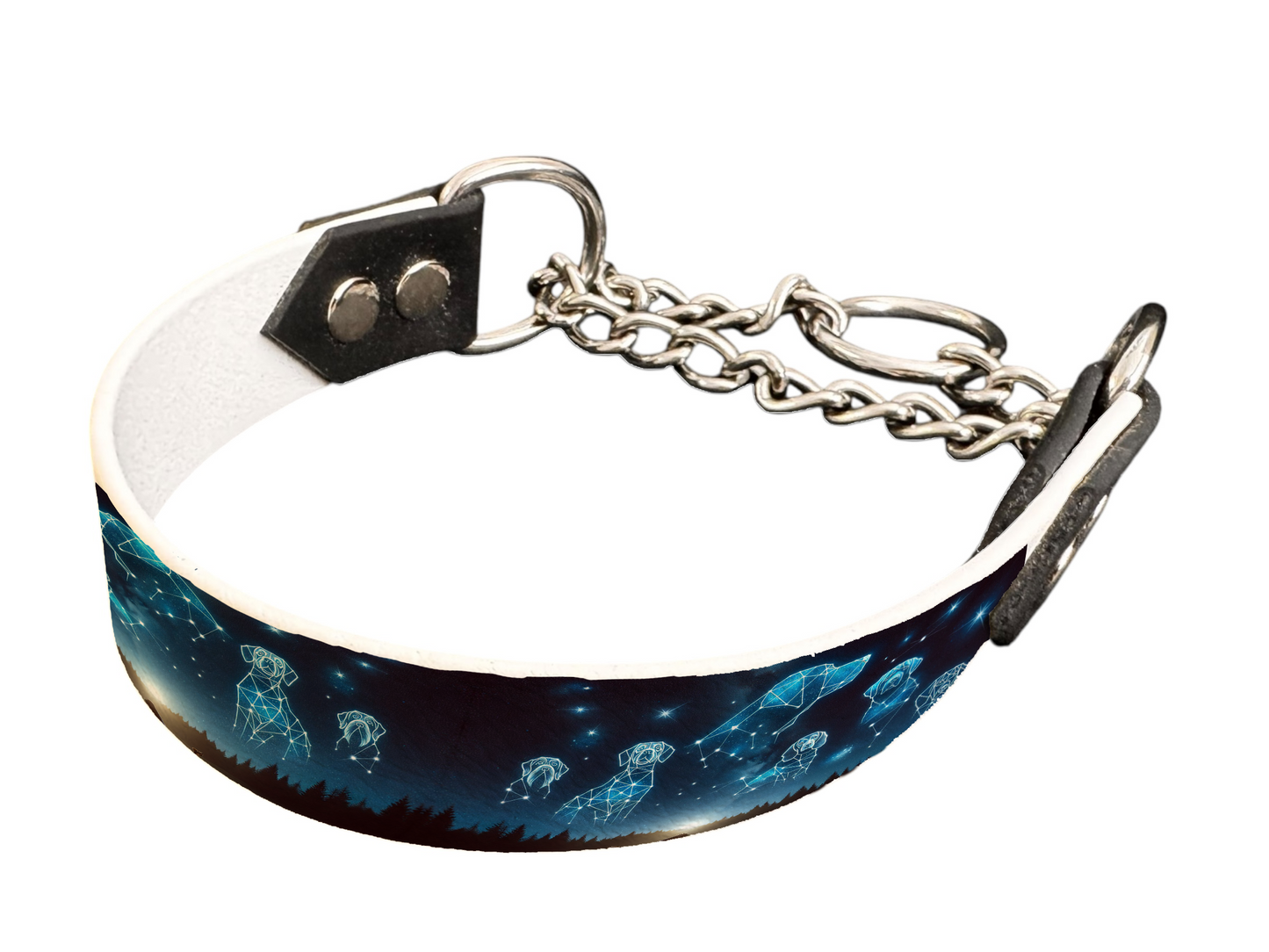 Martingale pour chien en BioThane® imprimé – Collection galaxie – 25mm