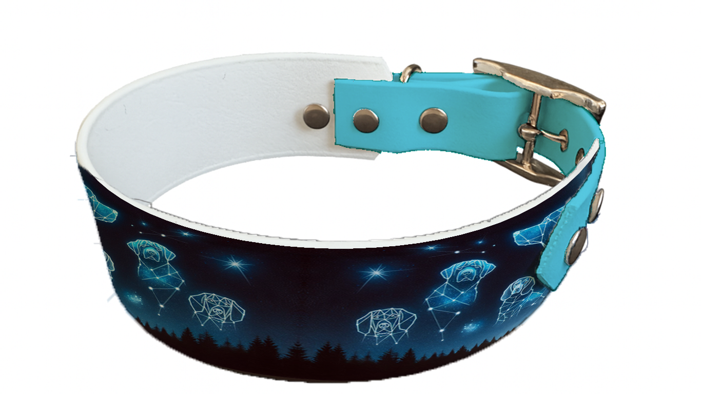 Collier bicolore large pour chien en BioThane® imprimé – Collection galaxie – 38/25 mm