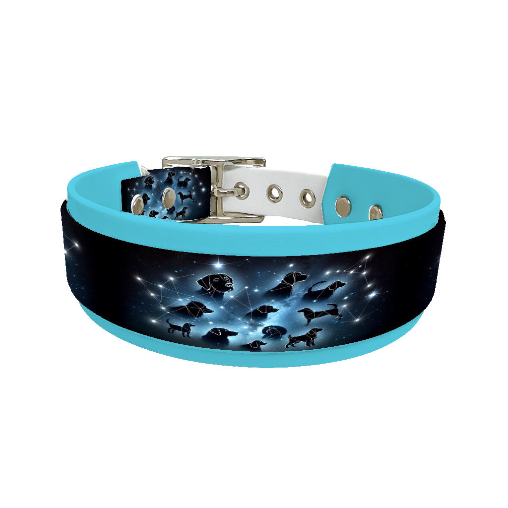 Collier double large pour chien en BioThane® imprimé – Collection galaxie – 38/25 mm