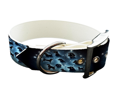 Collier large pour chien en BioThane® imprimé – Collection galaxie – 25mm