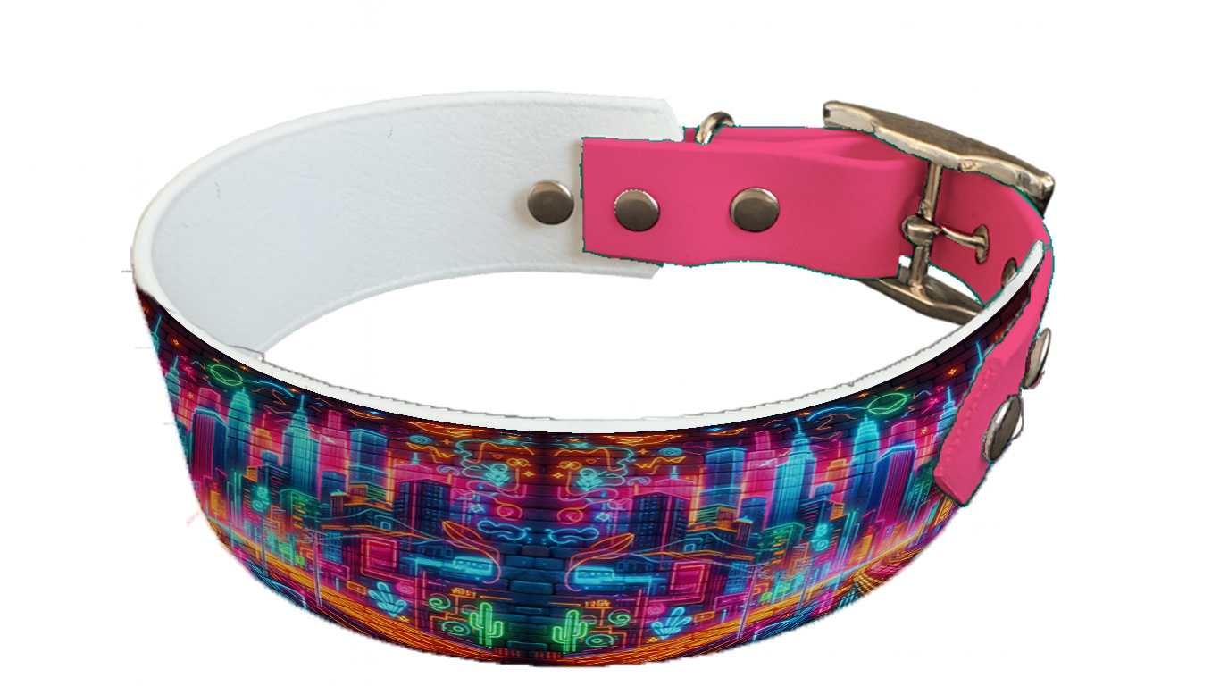 Collier bicolore large pour chien en BioThane® imprimé – Collection pop art– 38/25 mm