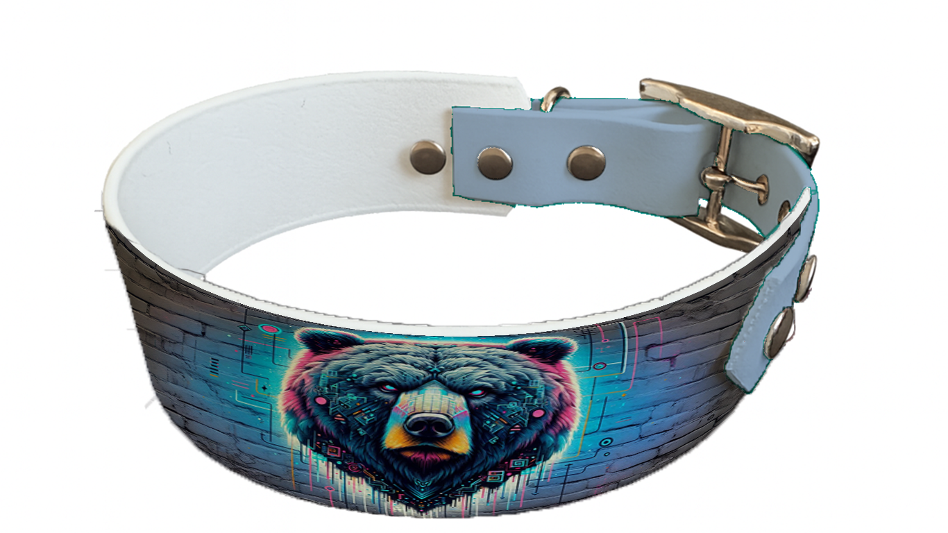 Collier bicolore large pour chien en BioThane® imprimé – Collection pop art– 38/25 mm