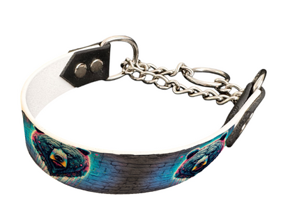 Martingale pour chien en BioThane® imprimé – Collection pop art– 25mm