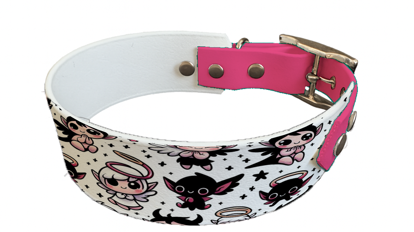Collier bicolore large pour chien en BioThane® imprimé – Collection Halloween– 38/25 mm