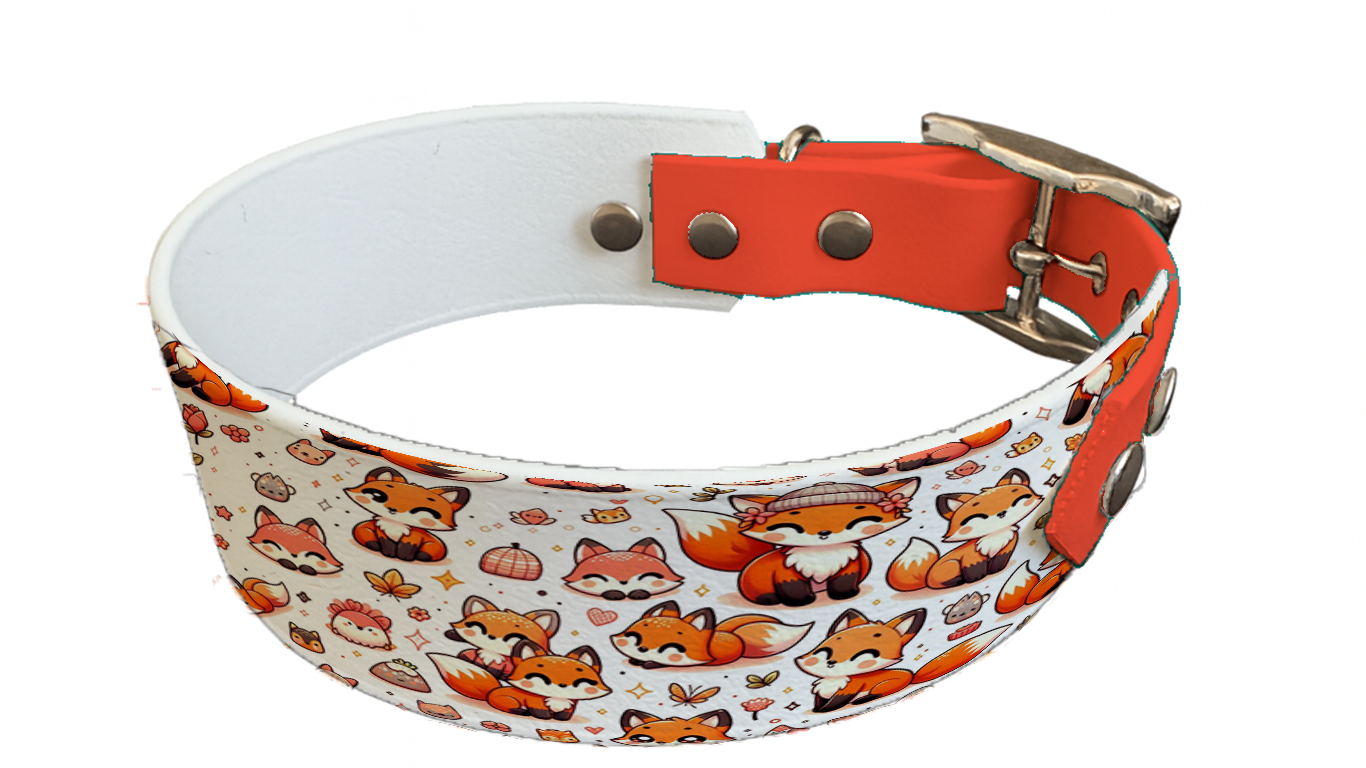 Collier bicolore large pour chien en BioThane® imprimé – Collection animaux pop/kawaii – 38/25 mm