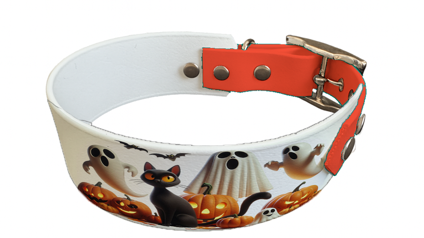 Collier bicolore large pour chien en BioThane® imprimé – Collection Halloween– 38/25 mm