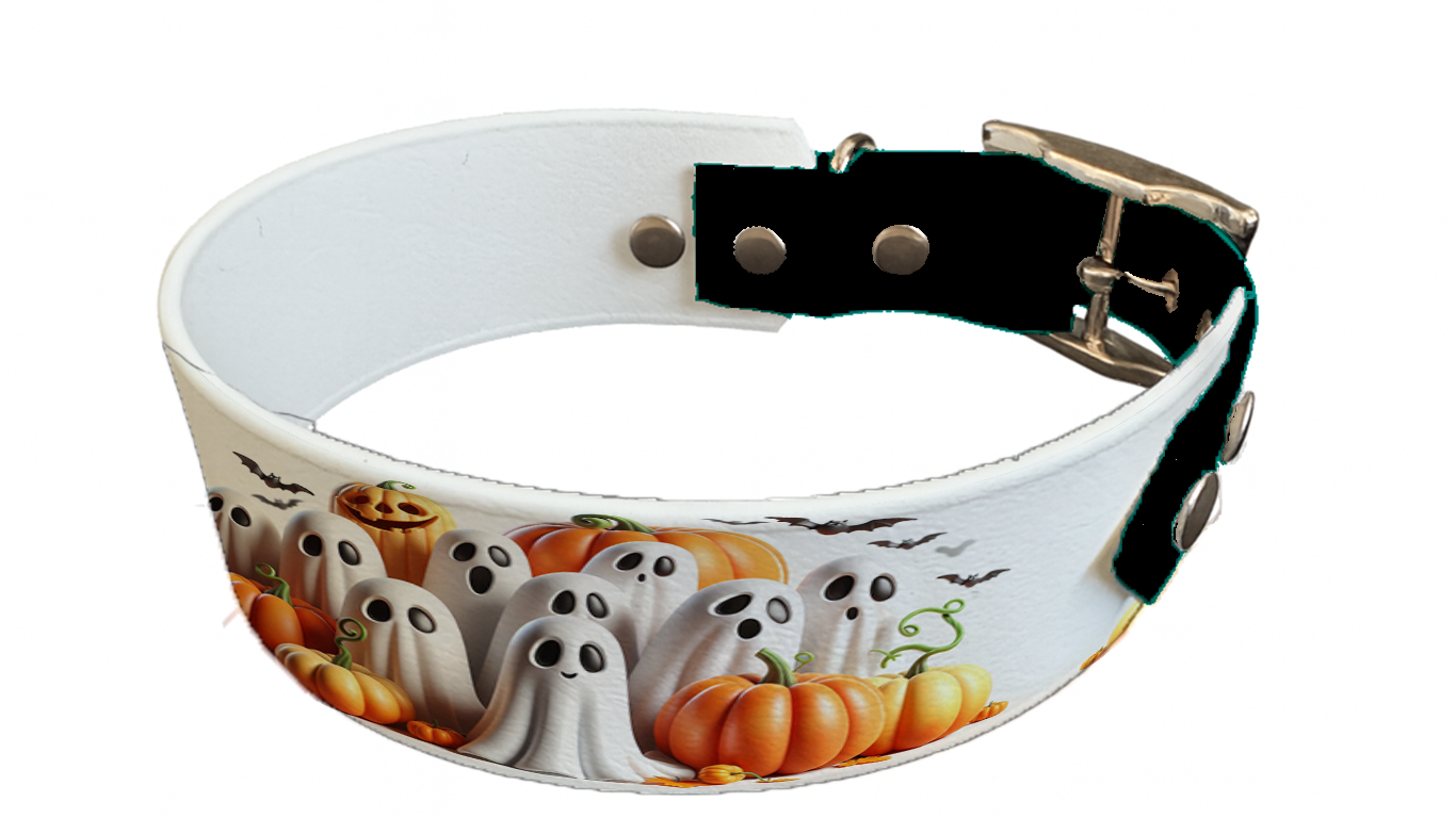 Collier bicolore large pour chien en BioThane® imprimé – Collection Halloween– 38/25 mm