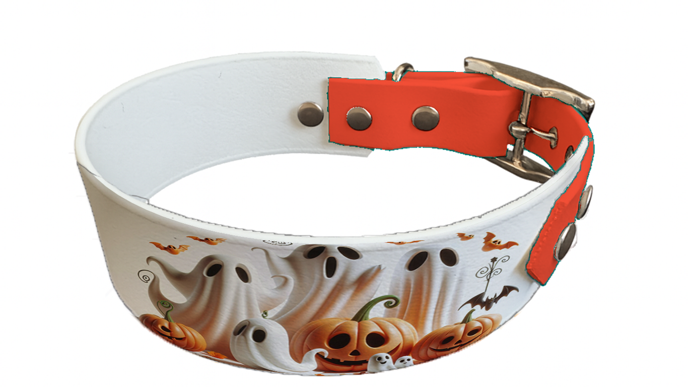 Collier bicolore large pour chien en BioThane® imprimé – Collection Halloween– 38/25 mm