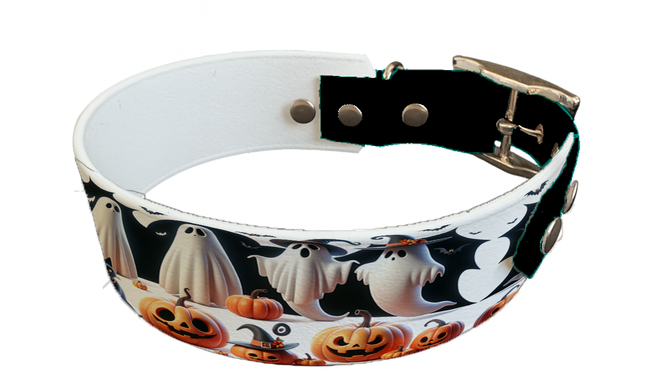 Collier bicolore large pour chien en BioThane® imprimé – Collection Halloween– 38/25 mm
