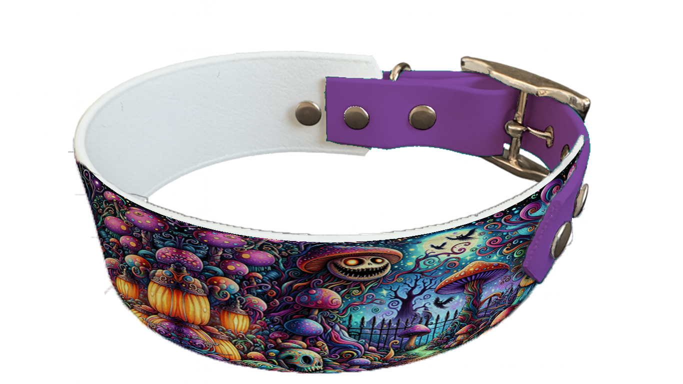Collier bicolore large pour chien en BioThane® imprimé – Collection Halloween– 38/25 mm