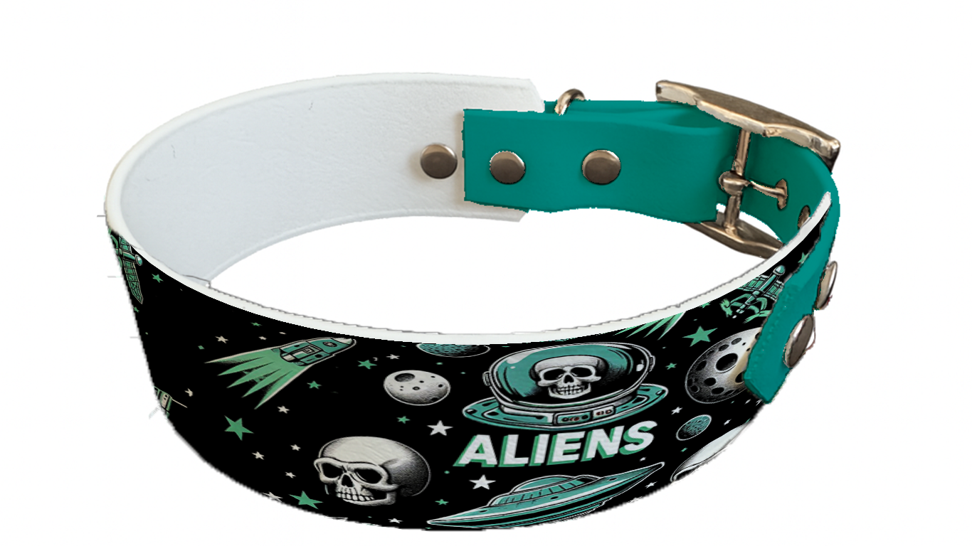 Collier bicolore large pour chien en BioThane® imprimé – Collection pop art– 38/25 mm