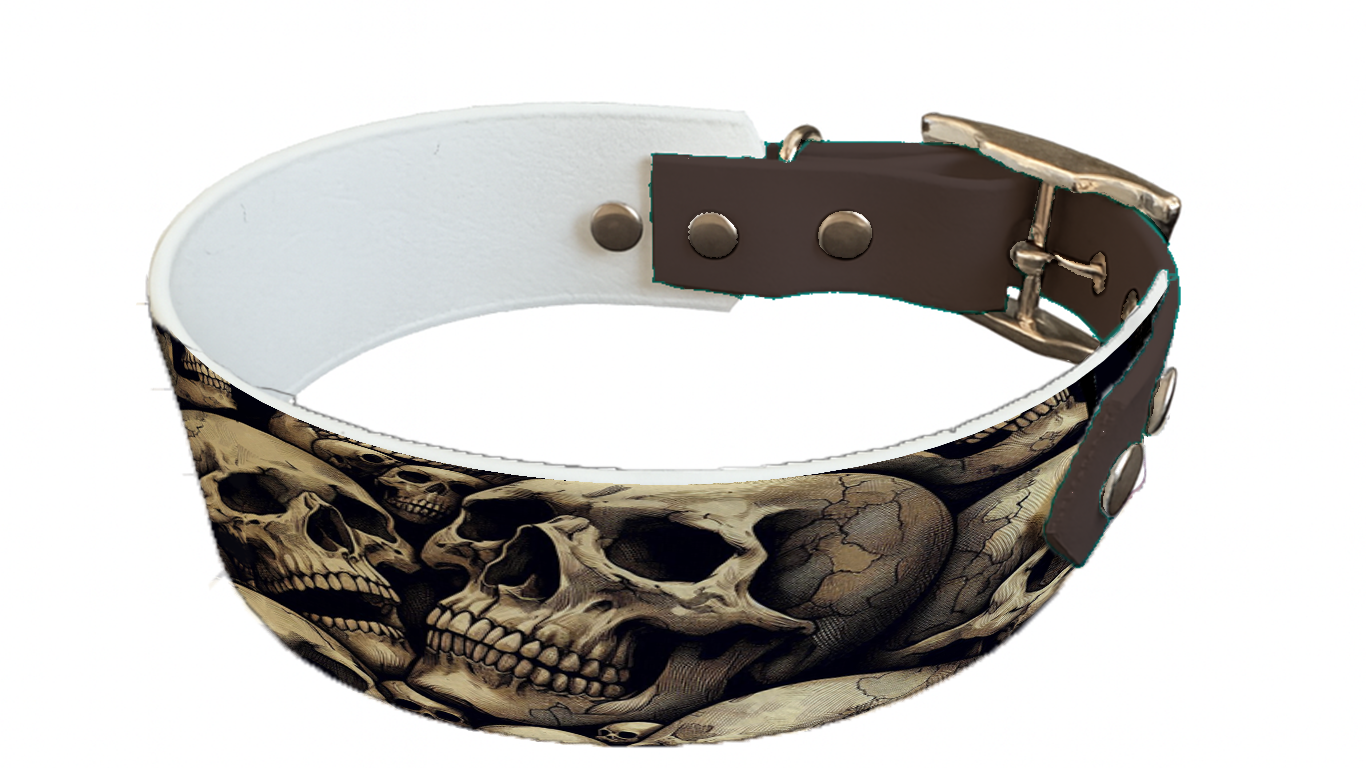 Collier bicolore large pour chien en BioThane® imprimé – Collection tête de mort– 38/25 mm