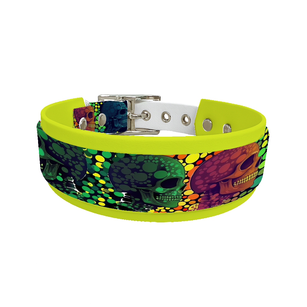 Collier double large pour chien en BioThane® imprimé – Collection tête de mort– 25/19 mm