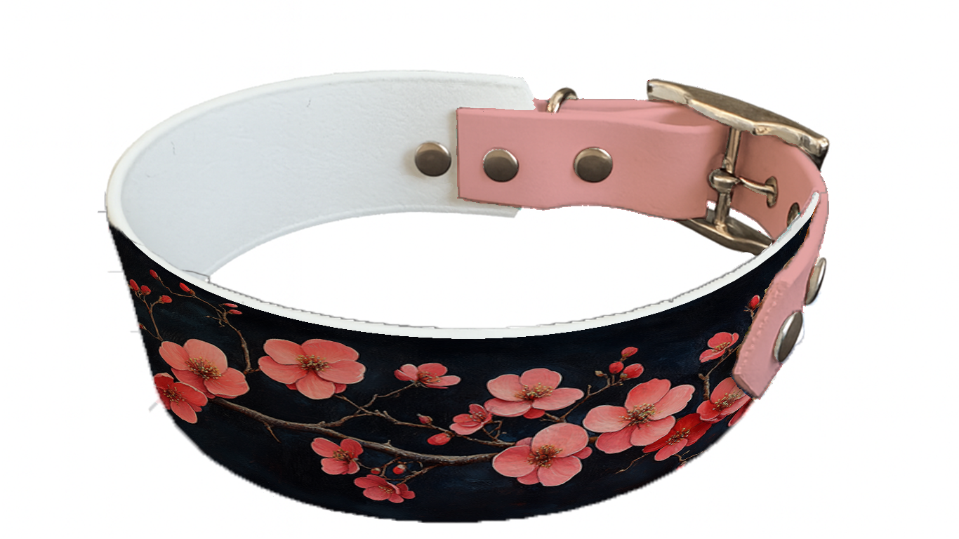 Collier bicolore large pour chien en BioThane® imprimé – Collection plantes et fleurs – 38/25 mm