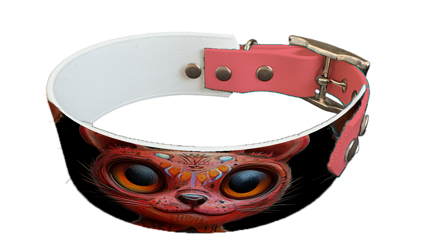 Collier bicolore large pour chien en BioThane® imprimé – Collection monstres et créatures imaginaires– 38/25 mm