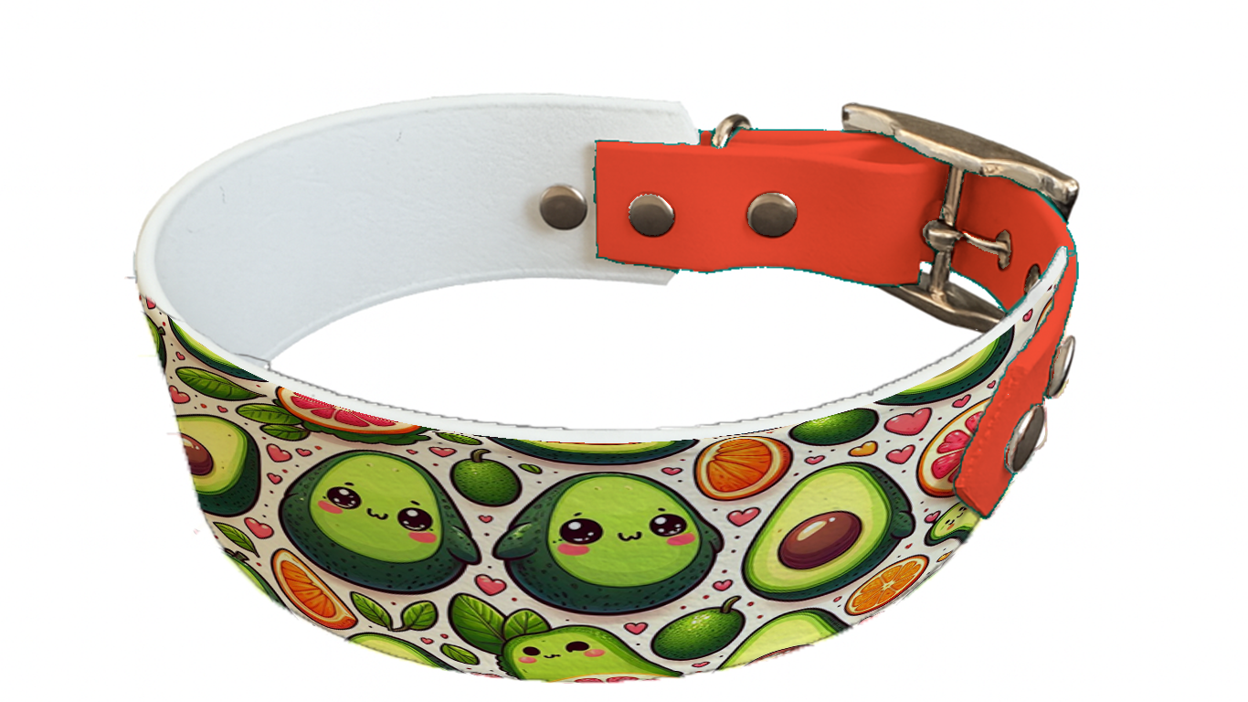 Collier bicolore large pour chien en BioThane® imprimé – Collection gourmandise – 38/25 mm