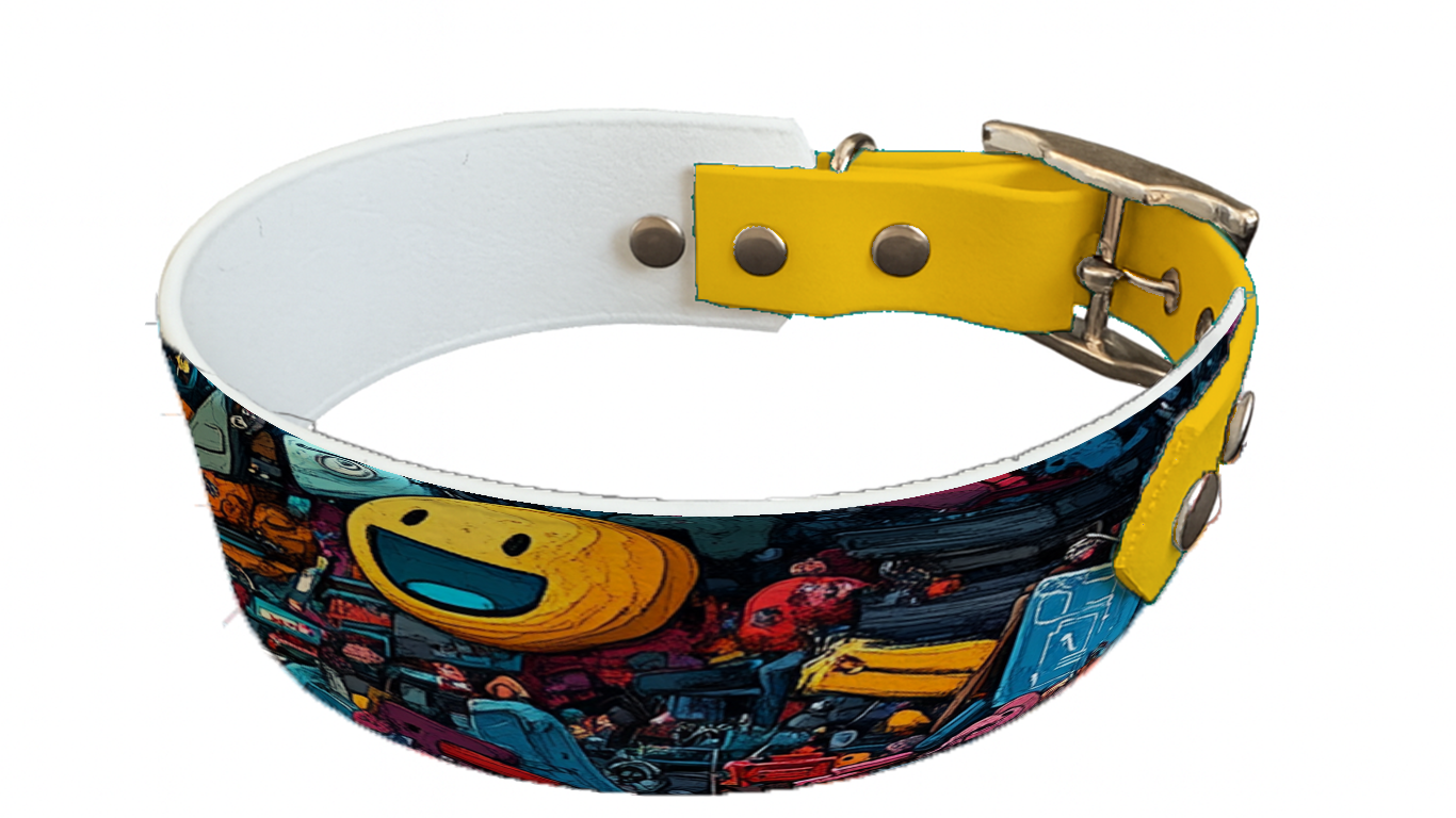 Collier bicolore large pour chien en BioThane® imprimé – Collection pop art– 38/25 mm
