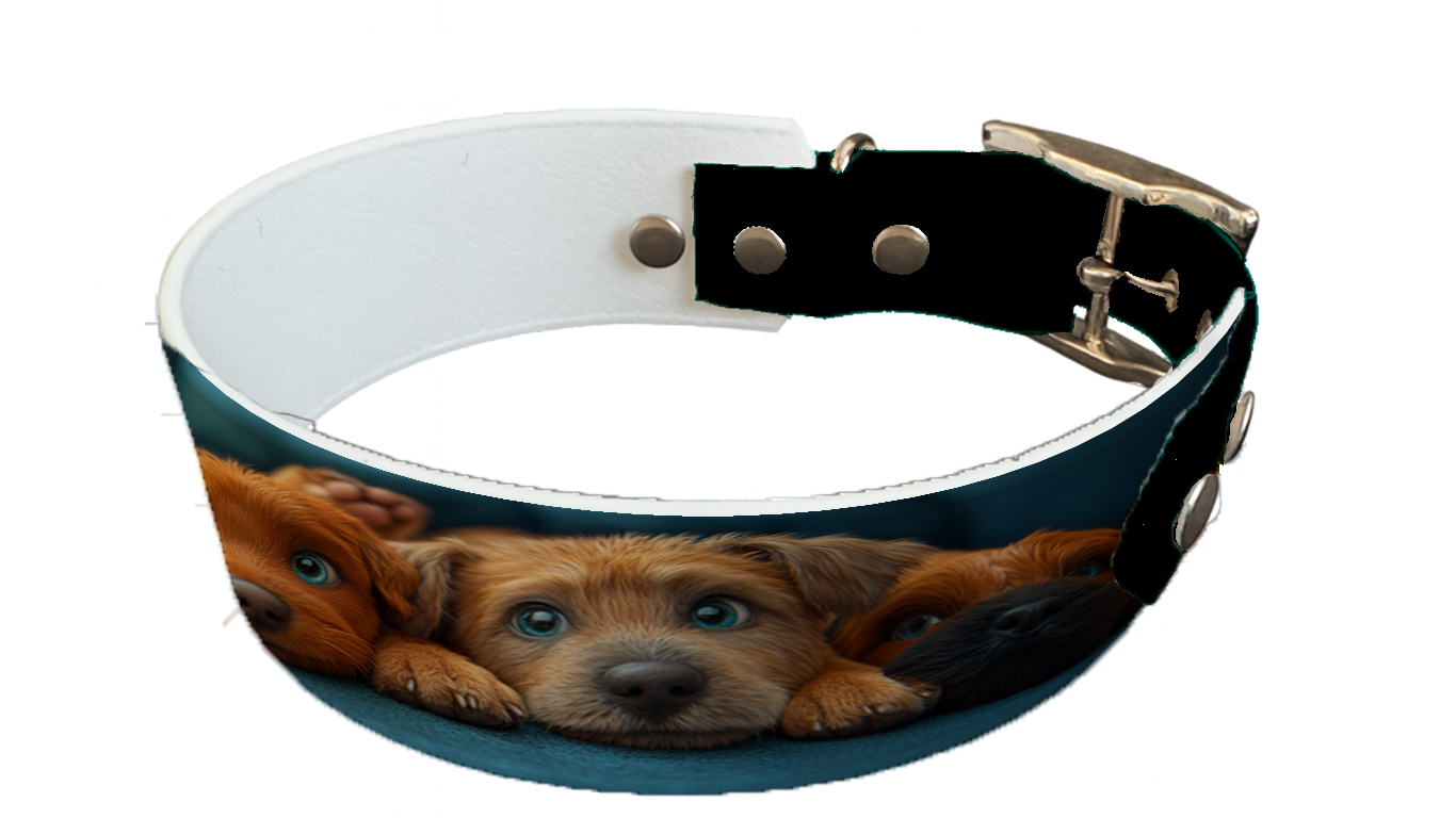 Collier bicolore large pour chien en BioThane® imprimé – Collection chiens– 38/25 mm