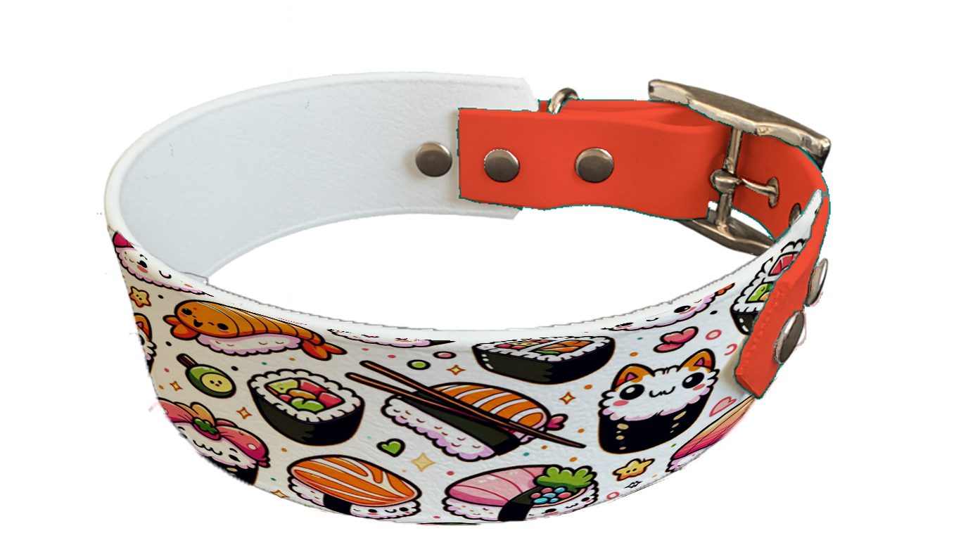 Collier bicolore large pour chien en BioThane® imprimé – Collection gourmandise – 38/25 mm
